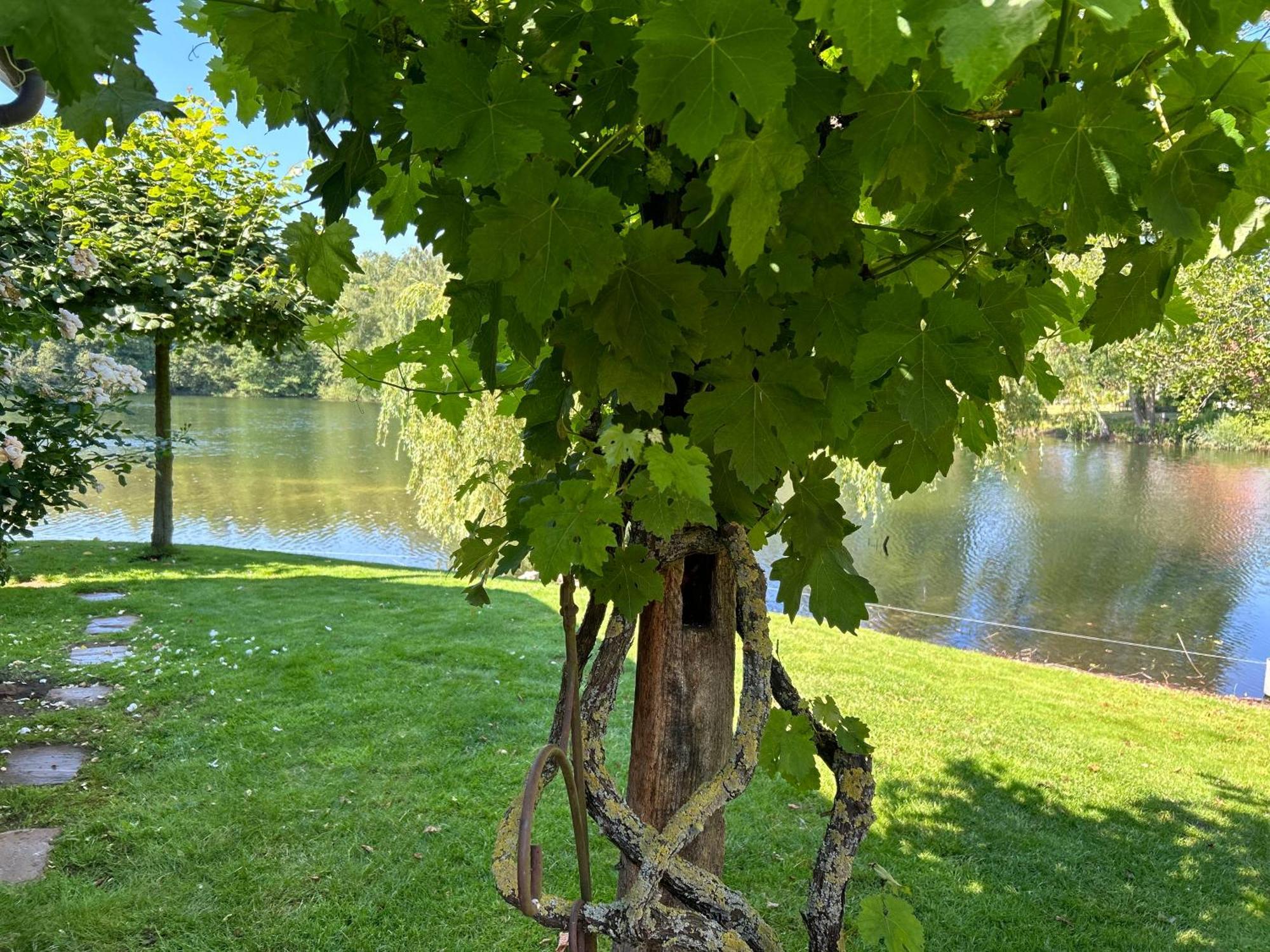 Gemuetliches Fachwerkhaus Am See Mit Kamin Варендорф Екстер'єр фото